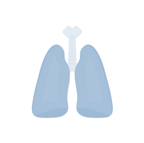 Pulmonary and Pocus