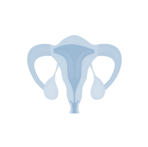 OB-Gyn