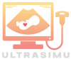 Ultrasound Simulation Training Logo
